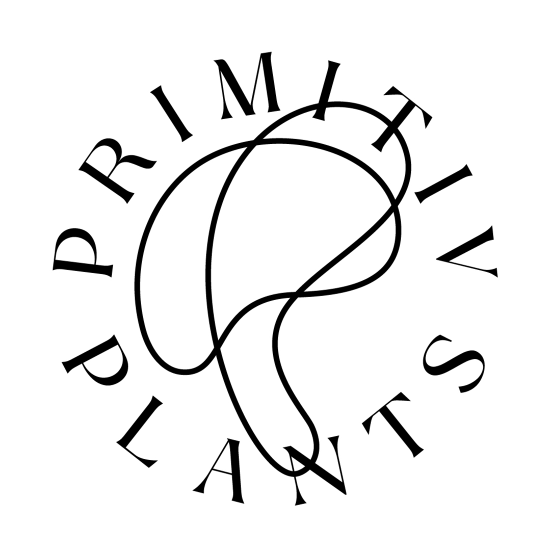 PRIMITIV NET SRL
