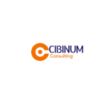 Cibinum Consulting Partener Destine Broker