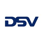 DSV SOLUTIONS SRL