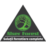 ALSER FOREST