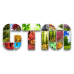 GREEN TREE MARKETING S.R.L