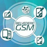 Belvedere Services GSM SRL