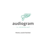 Audiogram S.R.L.