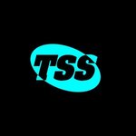 THALES SYSTEMS SERVICE SRL