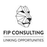 FIP CONSULTING SRL