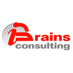 S.C.BRAINS CONSULTING SRL