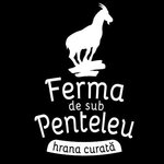 FERMA PENTELEU SRL