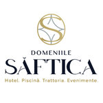 Domeniile Saftica