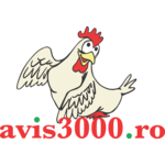 AVIS 3000 SA