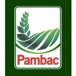 PAMBAC S.A