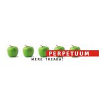 AX Perpetuum Impex SRL