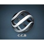 COMPANIA DE CONTABILITATE BUZNEA SRL
