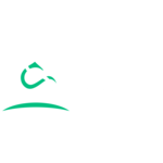 Mardav Accounting S.R.L.