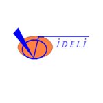 VIDELI SRL