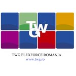 TWG - FLEXFORCE S.R.L.
