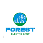 FOREST ELECTRO GRUP 2002 SRL