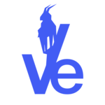 VOCALEDGE SOLUTIONS S.R.L.