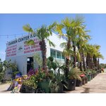 ROYAL GARDEN ART S.R.L.