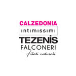 FUTURA LENJERIE 2010 SRL