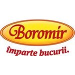 SC BOROMIR IND SRL