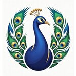 CLINICA CENTRAL S.R.L.