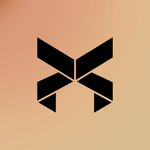 Nexon Dynamic Corporation S.R.L.