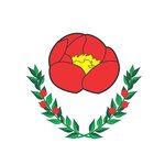 CHEMICAL LTD SRL
