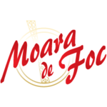 AGREMENT VICTORIA S.R.L.