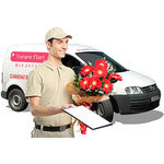 HTD INTERMEDIA SRL