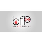 BFP EXE SISTEME SRL