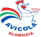 AVICOLA  SLOBOZIA S.A.