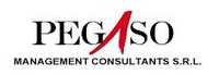 PEGASO MANAGEMENT CONSULTANTS