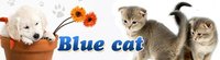 S.C. Cabinet Medical Veterinar Blue Cat SRL