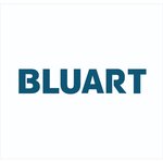 BLUART ROM GRUP SRL