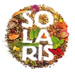 SC Solaris Plant SRL