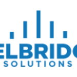 Delbridge Solutions SRL