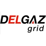 S.C. DELGAZ GRID S.A.