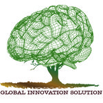 Global Innovation Solution SRL