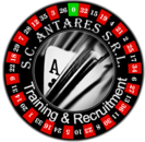 SC Antares Training&Recruitment.SRL
