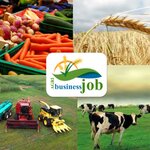 Agribusinessjob Romania