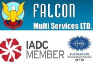 Falcon Training Services SRL