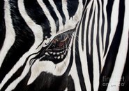 Zebra SIgn S.R.L
