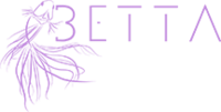 Betta Design Project SRL