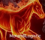 Morandi Logistic SRL
