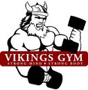 Vikings Gym SRL
