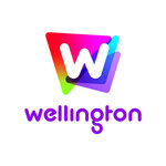 WELLINGTON CONSULTING SRL