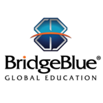 Bridge Blue Consultancy