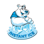S.C. INSTANT ICE SRL