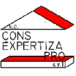 Cons Expertiza Pro