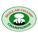S.C. BOGLAR CHAMP S.R.L.